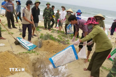 Ngư dân Quảng Bình chôn lấp cá chết bị dạt vào bờ. (Ảnh: Vô Dung/TTXVN)