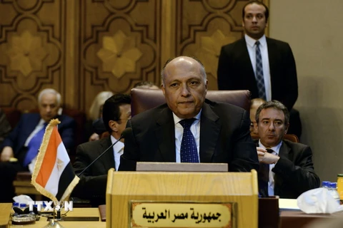 Ngoại trưởng Ai Cập Sameh Shoukry. (Nguồn: THX/TTXVN)