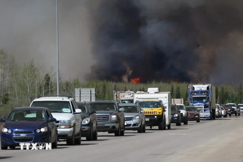 Đoàn xe sơ tán di chuyển tại khu vực đường cao tốc gần đám cháy rừng ở Fort McMurray, Alberta, Canada. (Nguồn: AFP/TTXVN)