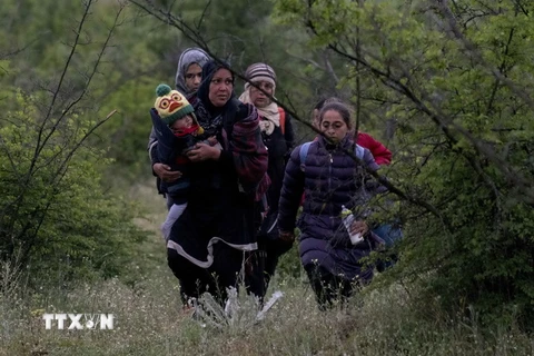 Người di cư tại khu vực Gevgelija, Macedonia sau khi vượt biên trái phép qua biên giới Hy Lạp-Macedonia. (Nguồn: AFP/TTXVN)
