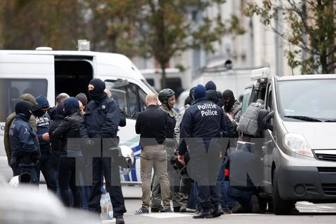 Cảnh sát Bỉ tiến hành chiến dịch truy quét khủng bố tại Molenbeek thuộc Brussels. (Nguồn: THX/TTXVN)