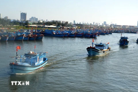 Tàu rời cảng cá Thọ Quang (Đà Nẵng) vươn khơi. (Ảnh: Đinh Văn Nhiều/TTXVN)