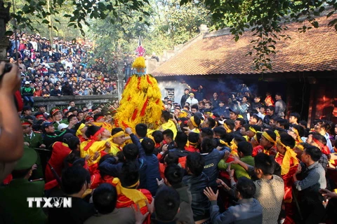 Người dân chen nhau để cướp lộc hoa tre tại lễ Hội Gióng đền Sóc năm 2016. (Ảnh: Quý Trung/TTXVN)