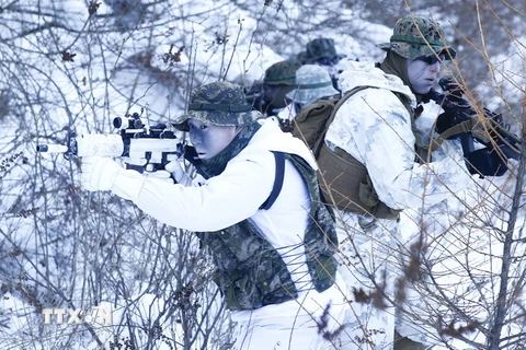 Lính thủy đánh bộ Mỹ và Hàn Quốc tham gia cuộc tập trận tại Pyeongchang ngày 24/1. (Nguồn: EPA/ TTXVN)