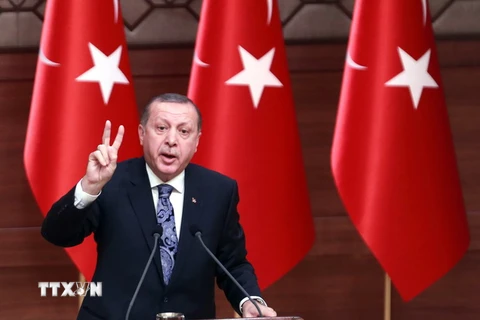 Tổng thống Recep Tayyip Erdogan. (Nguồn: AFP/TTXVN)