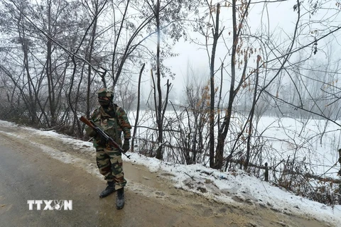 Binh sĩ Ấn Độ gác ở khu vực quận Ganderbal, miền trung Kashmir. (Nguồn: AFP/TTXVN)