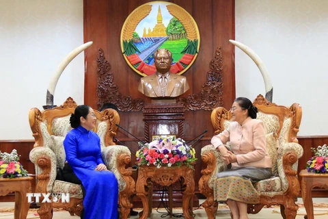 Chủ tịch Quốc hội Lào Pany Yathotou tiếp bà Võ Thị Dung, Phó Bí thư Thành ủy. (Ảnh: Phạm Kiên/TTXVN)