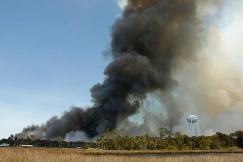 Một đám cháy ở Florida. (Nguồn: foxnews.com)
