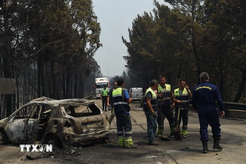 Nhân viên cứu hỏa làm nhiệm vụ tại hiện trường vụ cháy rừng ở Pedrogao Grande, Bồ Đào Nha ngày 18/6. (Nguồn: THX/TTXVN)