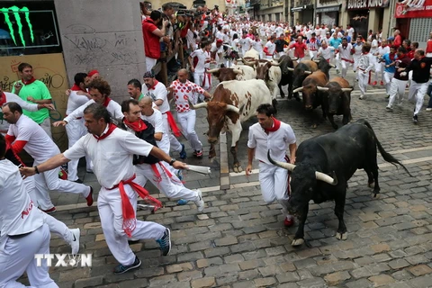 Những màn rượt đuổi "thót tim"của các chú bò tót trong lễ hội San Fermin ở Pamplona ngày 8/7. (Nguồn: AFP/TTXVN)