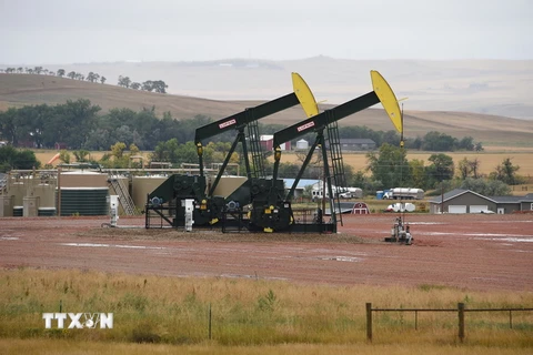 Máy bơm dầu tại cơ sở khai thác dầu Bakken Shale gần Williston, Bắc Dakota, Mỹ. (nguồn: AFP/TTXVN)