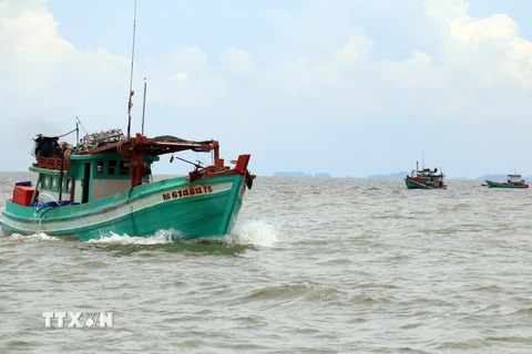 Phản đối mạnh mẽ hành vi đối xử vô nhân đạo với ngư dân Việt Nam