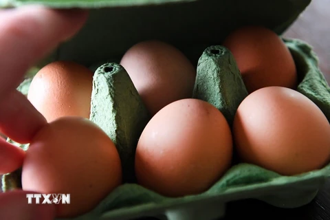 Trứng gà bày bán ở siêu thị ở London, Anh ngày 10/8. (Nguồn: EPA/TTXVN)