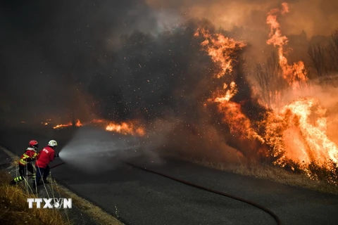 Nhân viên cứu hỏa nỗ lực dập lửa cháy rừng ở Abrantes ngày 10/8. (Nguồn: AFP/TTXVN)