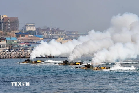 Lính thủy đánh bộ Hàn Quốc diễn tập đổ bộ trên bãi biển. (Nguồn: AFP/TTXVN)