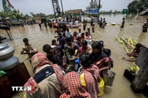 Người dân hứng nước sạch sinh hoạt tại vùng lũ ở Amta, miền đông Ấn Độ ngày 30/7. AFP/TTXVN