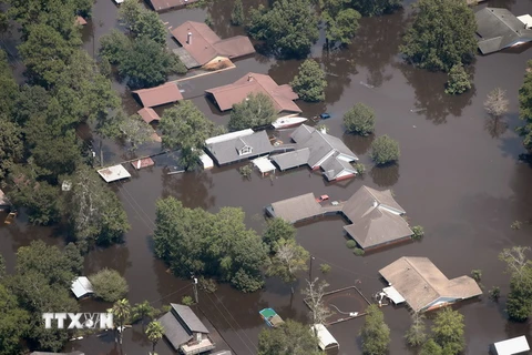 Cảnh ngập lụt do mưa lớn sau bão Harvey ở Orange, bang Texas ngày 31/8. (Nguồn: AFP/TTXVN)