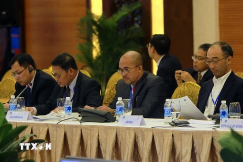 Đại biểu dự phiên họp kỹ thuật thứ 2 Hội nghị các Quan chức cao cấp APEC về Quản lý thiên tai lần thứ 11. (Ảnh: Thanh Tùng/TTXVN)