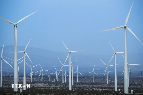 Các tuôcbin gió tại nhà máy phong điện ở Palm Springs, bang California, Mỹ. (Nguồn: THX/TTXVN)