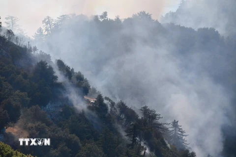 Khói bốc lên từ đám cháy tại rừng quốc gia Angeles, đông bắc Los Angeles, California, Mỹ ngày 17/10. (Nguồn: AFP/TTXVN(