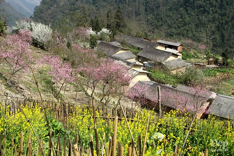Cẩm nang và kinh nghiệm du lịch Hà Giang giữa mùa "đá tai mèo nở hoa"