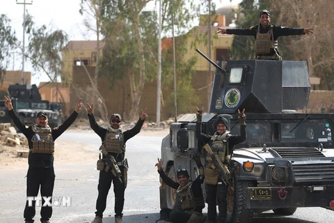 Các lực lượng Iraq tại thành phố al-Qaim, tỉnh Anbar sau khi giải phóng thành phố này từ IS ngày 4/11. (Nguồn: AFP/TTXVN)