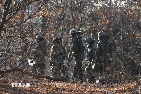  Binh sỹ Hàn Quốc tuần tra gần khu vực Paju, giáp biên giới liên Triều. (Nguồn: AFP/TTXVN)