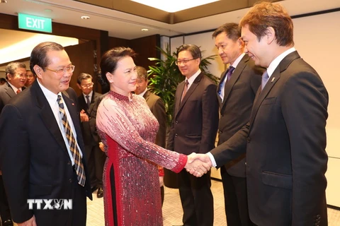 Chủ tịch Quốc hội Nguyễn Thị Kim Ngân tiếp đại diện các doanh nghiệp Singapore đến chào xã giao và báo cáo kết quả hoạt động, kinh doanh tại Việt Nam. (Ảnh: Trọng Đức/TTXVN.)