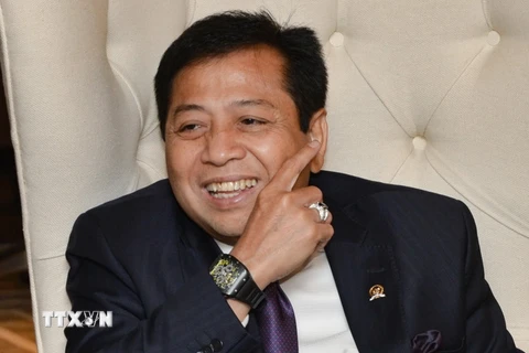 Chủ tịch Quốc hội Setya Novanto. (Nguồn: AFP/TTXVN)