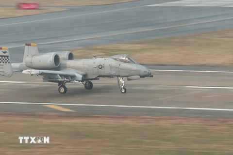 Máy bay Thần sấm A-10 của Mỹ cất cánh từ căn cứ không quân Osan, Hàn Quốc tham gia cuộc tập trận chung Mỹ-Hàn ngày 5/12. (Nguồn: Yonhap/TTXVN)
