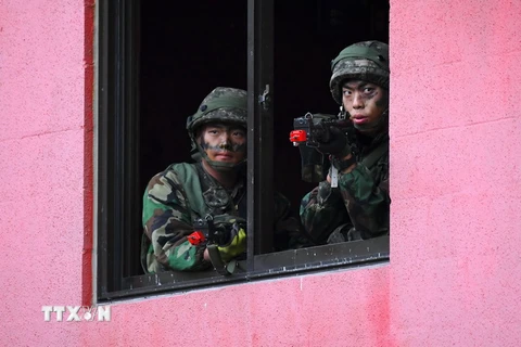 Binh sỹ Hàn Quốc trong một cuộc diễn tập tại Pocheon ngày 19/9. (Nguồn: AFP/TTXVN))