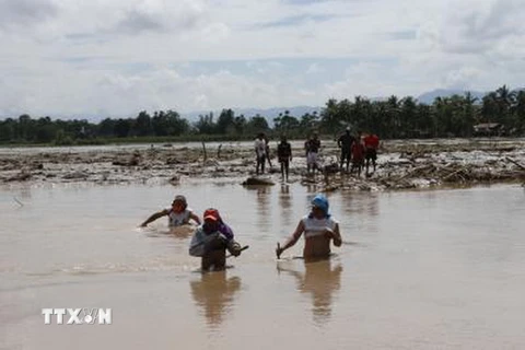 Tìm kiếm người mất tích sau bão Tembin tại tỉnh Lanao del Norte, Philippines ngày 24/12. (Nguồn: THX/TTXVN)