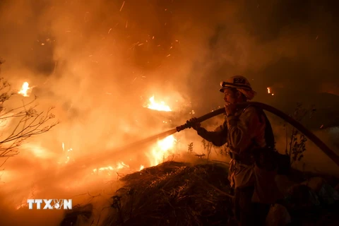 Nhân viên cứu hỏa dập lửa cháy rừng tại Mỹ. (Nguồn: THX/TTXVN)
