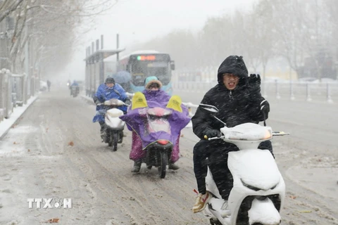 Tuyết rơi dày đặc tại tỉnh An Huy. (Nguồn: THX/TTXVN)
