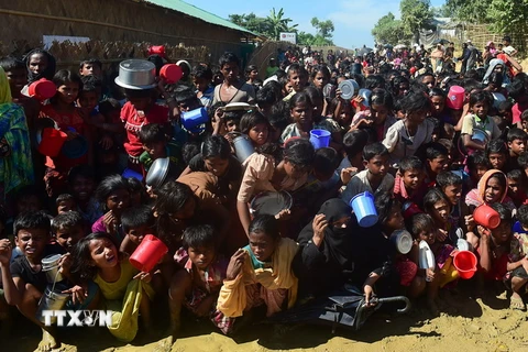 Người tị nạn Rohingya chờ nhận thực phẩm cứu trợ tại Ukhia, Bangladesh ngày 14/11. (Nguồn: AFP/TTXVN)