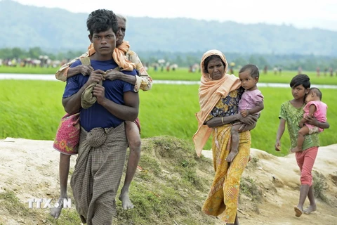 Người tị nạn Rohingya chạy trốn xung đột từ Myanmar tới khu vực Palongkhali, Ukhia, Bangladesh. (Nguồn: AFP/TTXVN)
