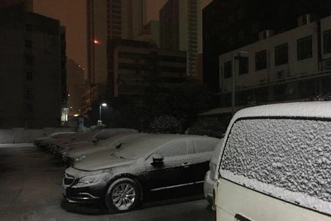 Ngày 25/1, tuyết đã phủ trắng mọi vật thể cố định ở thành phố Thường Châu, từ cây cối, mái nhà cho tới các xe ôtô. (Ảnh: Hoàng Linh)