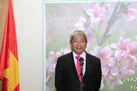 Đại sứ Cao Trần Quốc Hải. (Ảnh: Việt Thắng/Vietnam+)