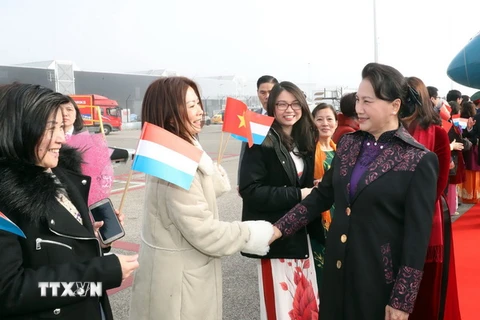 Đại diện cộng đồng người Việt tại Hà Lan đón Chủ tịch Quốc hội Nguyễn Thị Kim Ngân tại sân bay Amsterdam. (Ảnh: Trọng Đức/TTXVN)