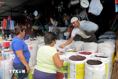 Người dân mua bán hàng hóa tại Managua, Nicaragua. (Nguồn: AFP/TTXVN)