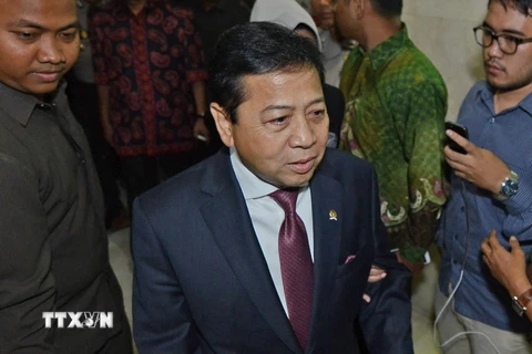 Cựu Chủ tịch Hạ viện nước này Setya Novanto. (Nguồn: AFP/TTXVN)