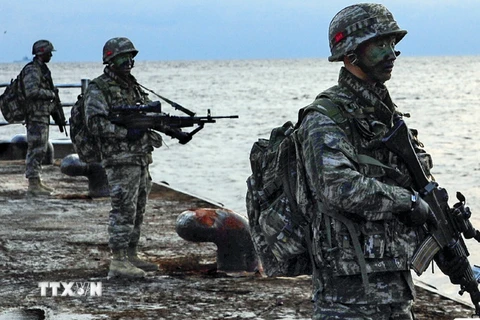 Hải quân Hàn Quốc tham gia một cuộc tập trận. (Nguồn: Yonhap/TTXVN)