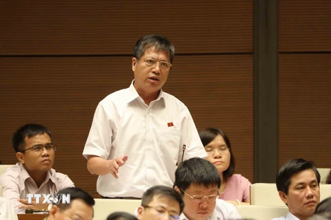 Đại biểu Quốc hội tỉnh Thừa Thiên-Huế Bùi Đức Hạnh phát biểu. (Ảnh: Phương Hoa/TTXVN)