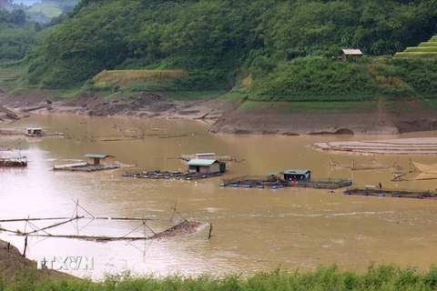 Các hộ nuôi cá lồng ở Đà Vị (Na Hang, Tuyên Quang) bị thiệt hại nặng sau trận mưa. (Ảnh: Văn Tý/TTXVN)