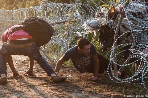 Hàng rào dây thép gai không ngăn nổi người nhập cư cố gắng xâm nhập vào Hungary năm 2015. (Nguồn: dw.com)