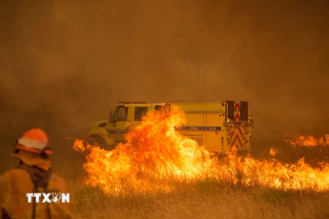 Lực lượng cứu hỏa dập lửa cháy rừng dọc đường cao tốc 20, gần Clearlake Oaks, California, Mỹ ngày 1/7. (Ảnh: AFP/TTXVN)