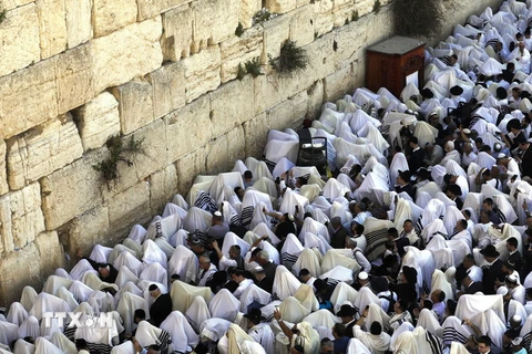 Các tín đồ Do Thái giáo cầu nguyện tại Lễ Vượt qua ở Bức tường phía Tây thành cổ Jerusalem ngày 2/4. (Nguồn: AFP/TTXVN)