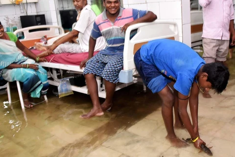 Cá theo dòng nước lũ vào một bệnh viện tại Ấn Độ. (Nguồn: news.sky.com)
