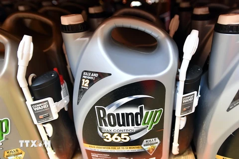 Những chai thuốc diệt cỏ Roundup của Monsanto bày bán tại một cửa hàng ở San Rafael, bang California, Mỹ. (Ảnh: AFP/TTXVN)