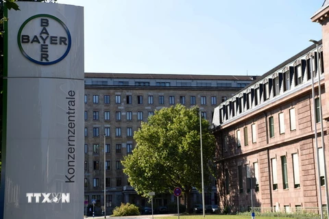 Trụ sở tập đoàn dược phẩm và hóa chất Bayer ở Leverkusen, tây Đức ngày 8/9/2016. (Nguồn: AFP/TTXVN)
